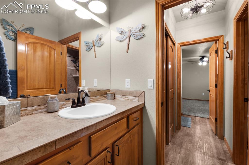 Image 36 of 48: basement jack-n-jill bath