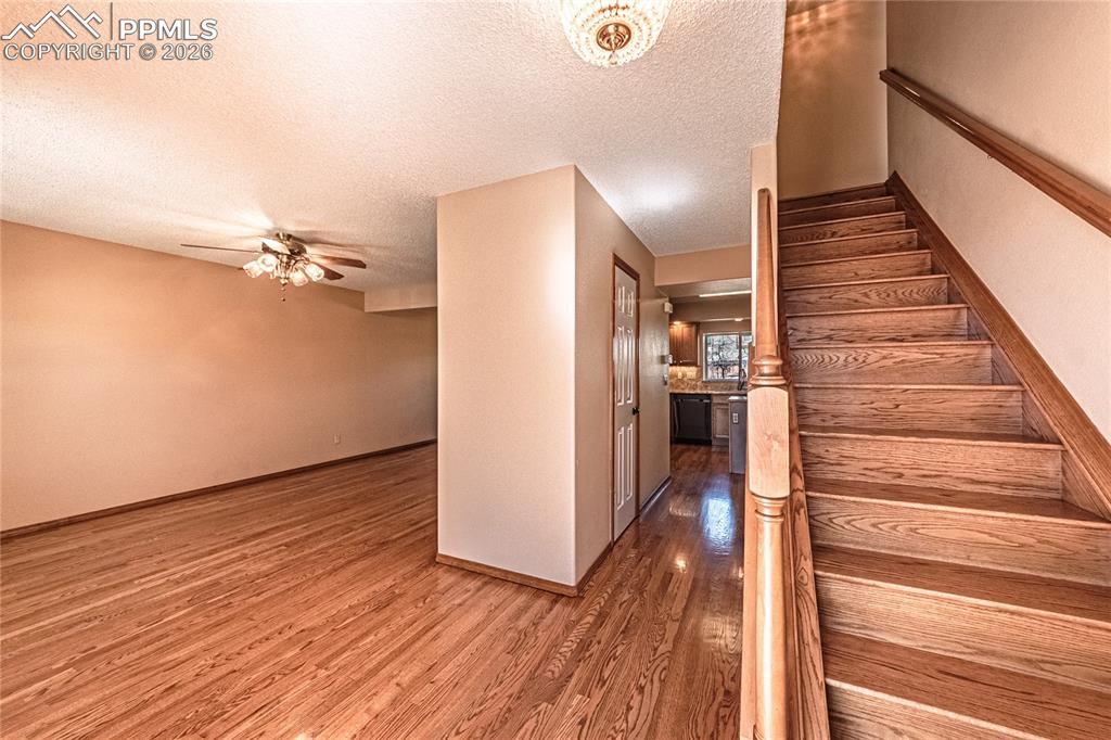 Image 5 of 49: Other