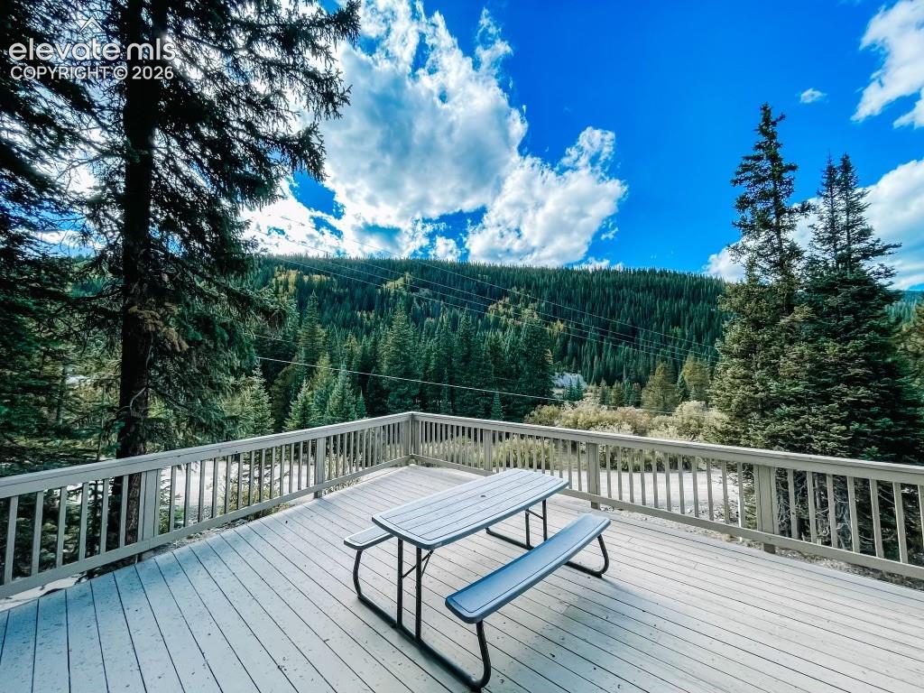 Image 29 of 29: Expansive outdoor deck with wood-finish flooring and a full perimeter raili