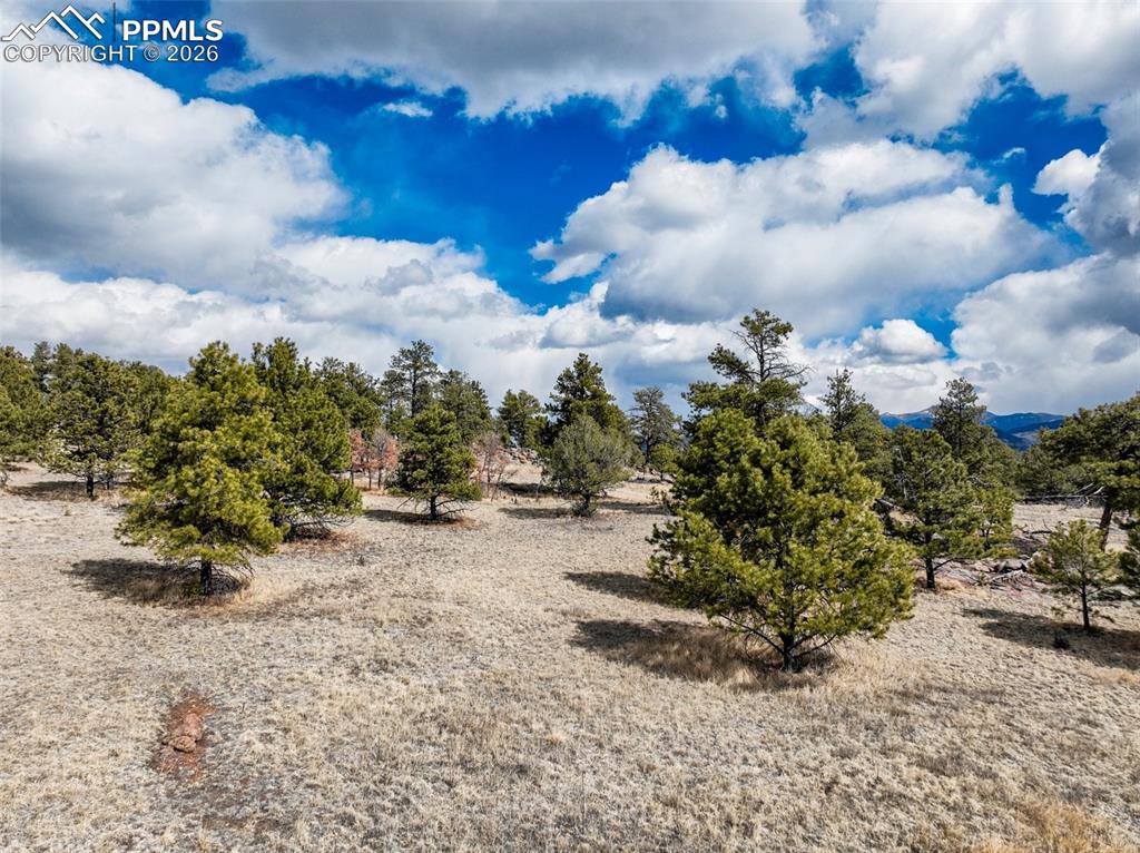 Image 10 of 26: Other