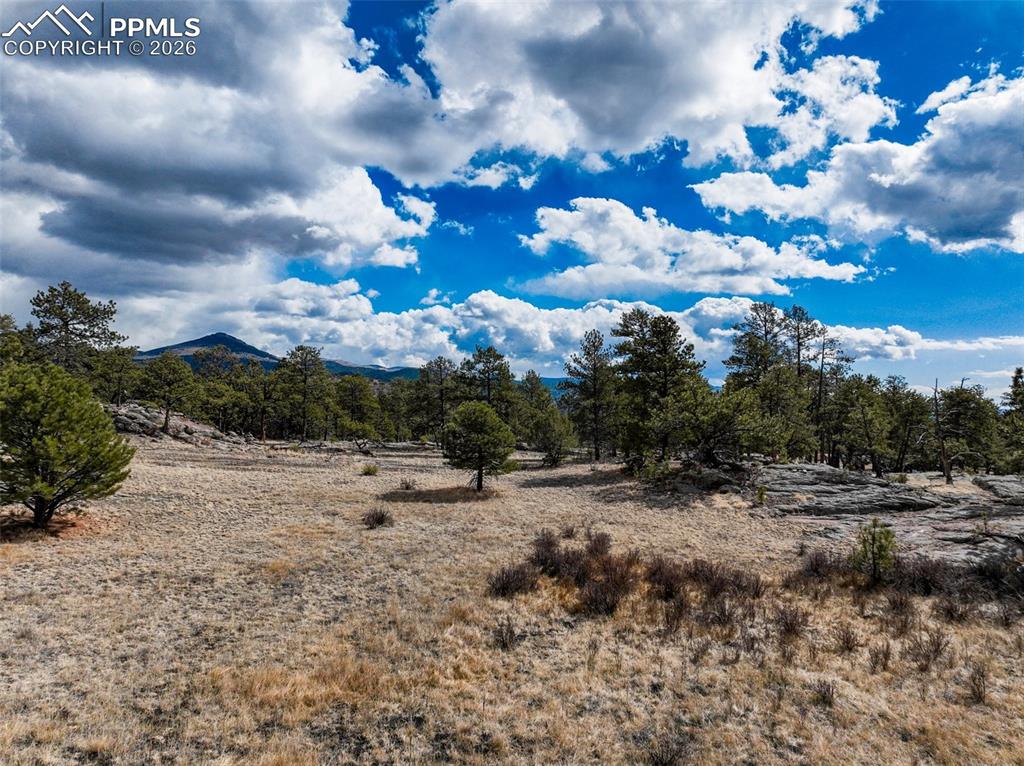 Image 11 of 26: View