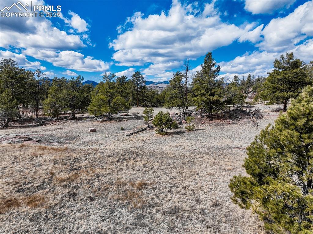 Image 13 of 26: Other