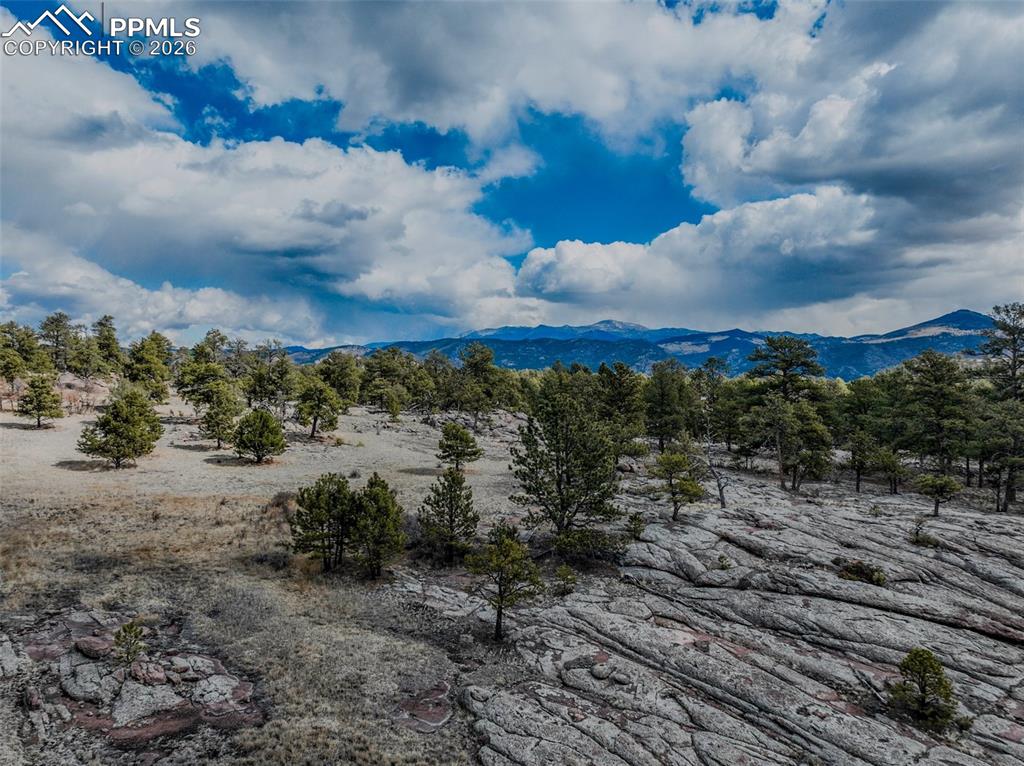 Image 14 of 26: View