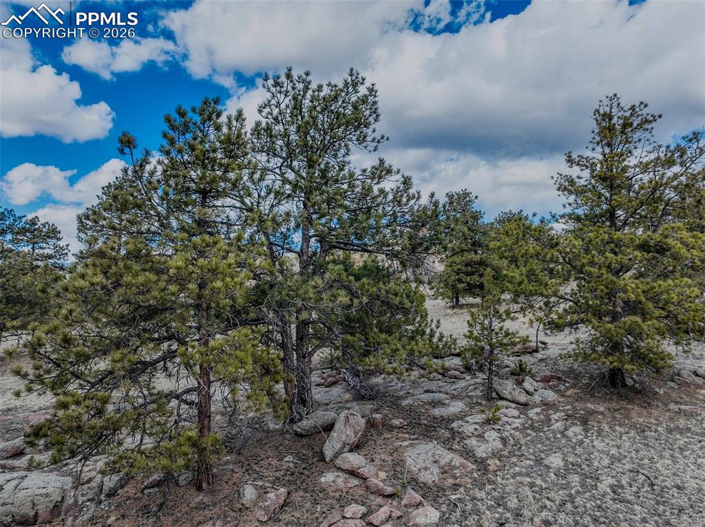 Image 15 of 26: Other