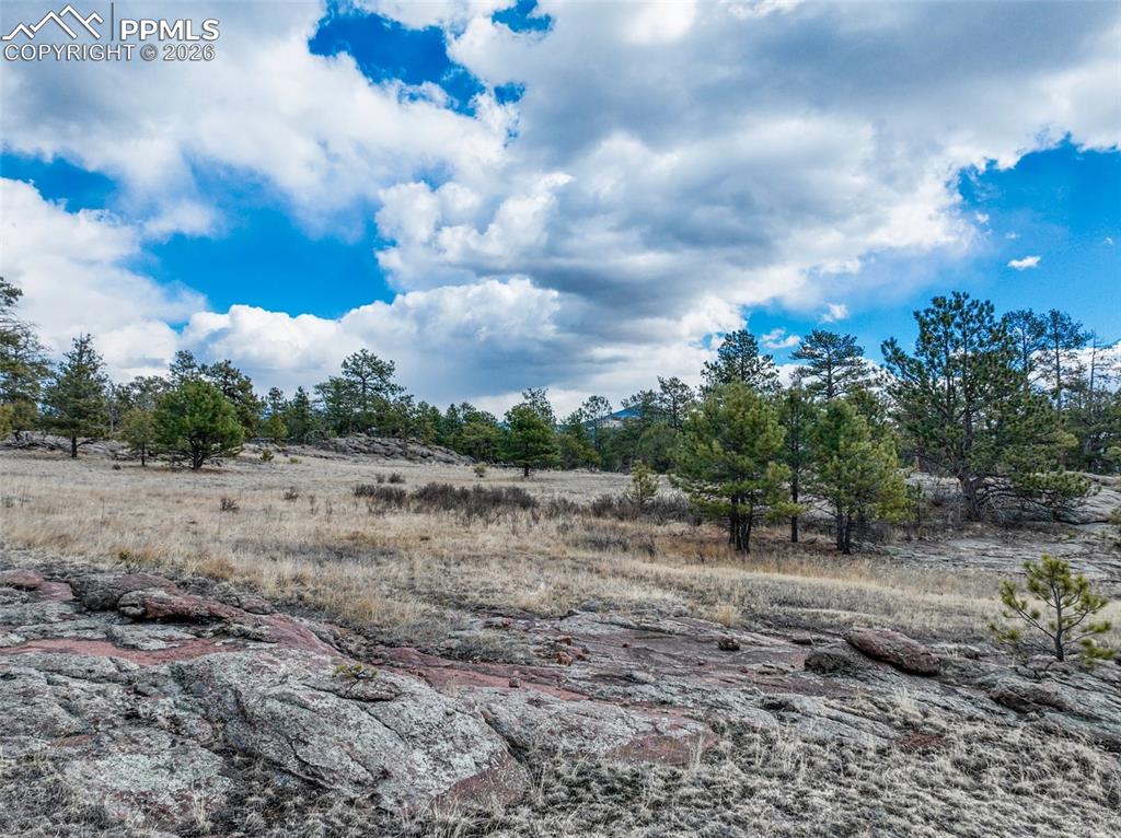 Image 16 of 26: Other