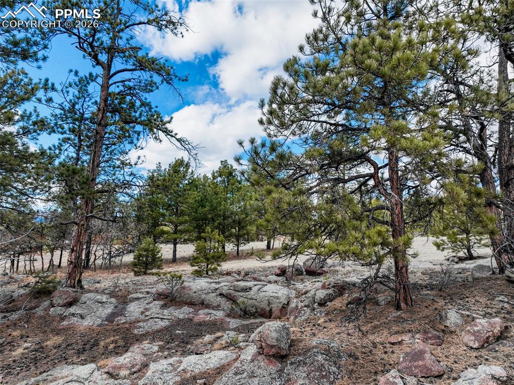 Image 17 of 26: Other