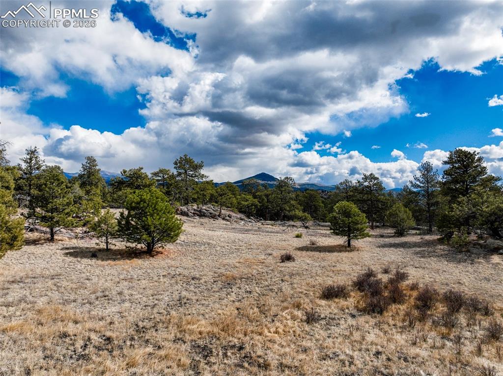 Image 18 of 26: View