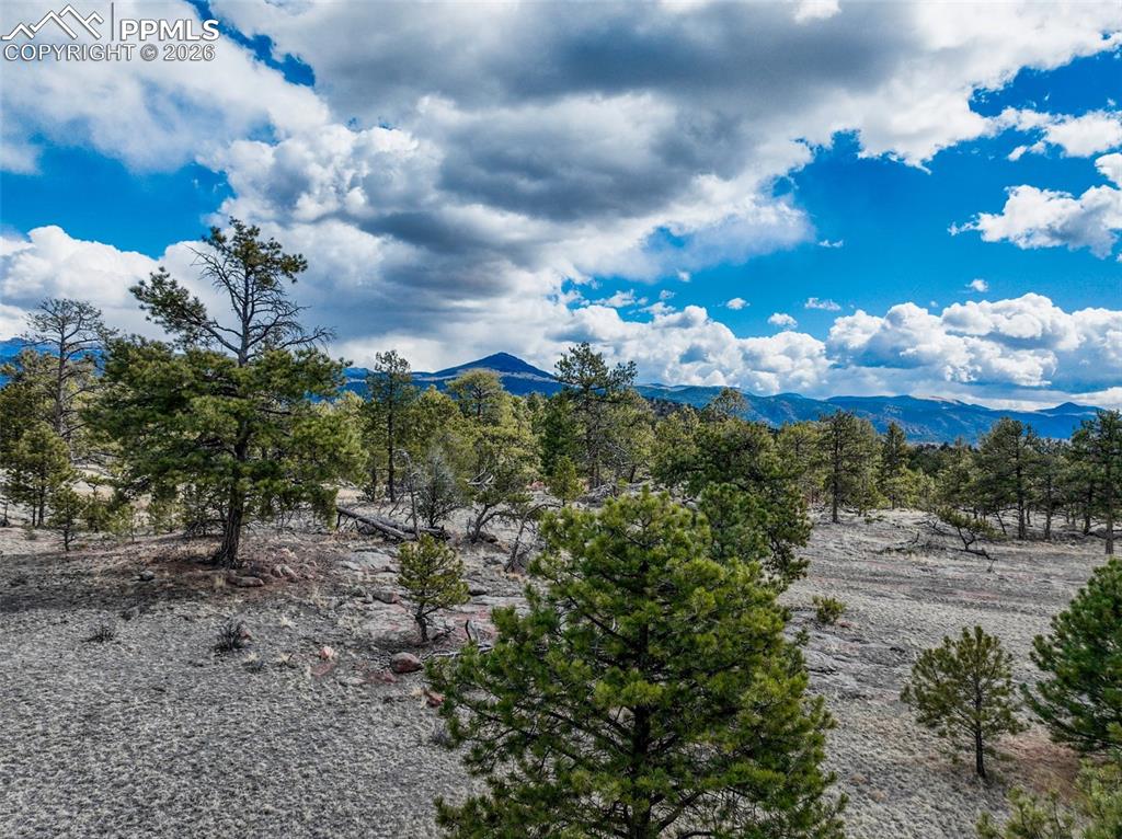 Image 19 of 26: View