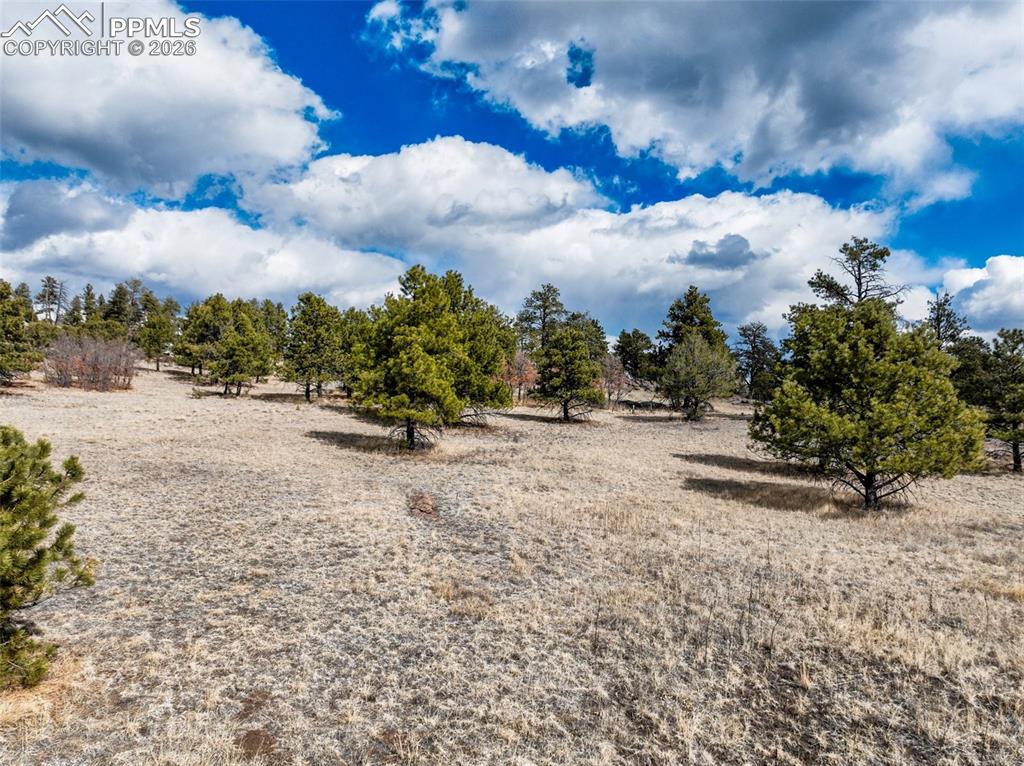 Image 2 of 26: Other