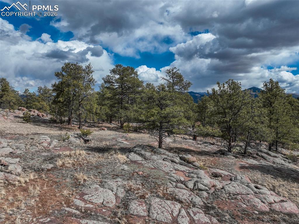 Image 20 of 26: Other