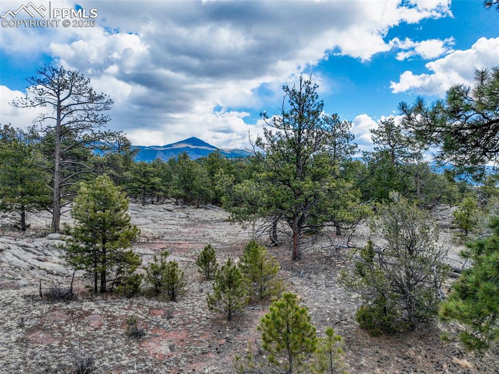 Image 24 of 26: View