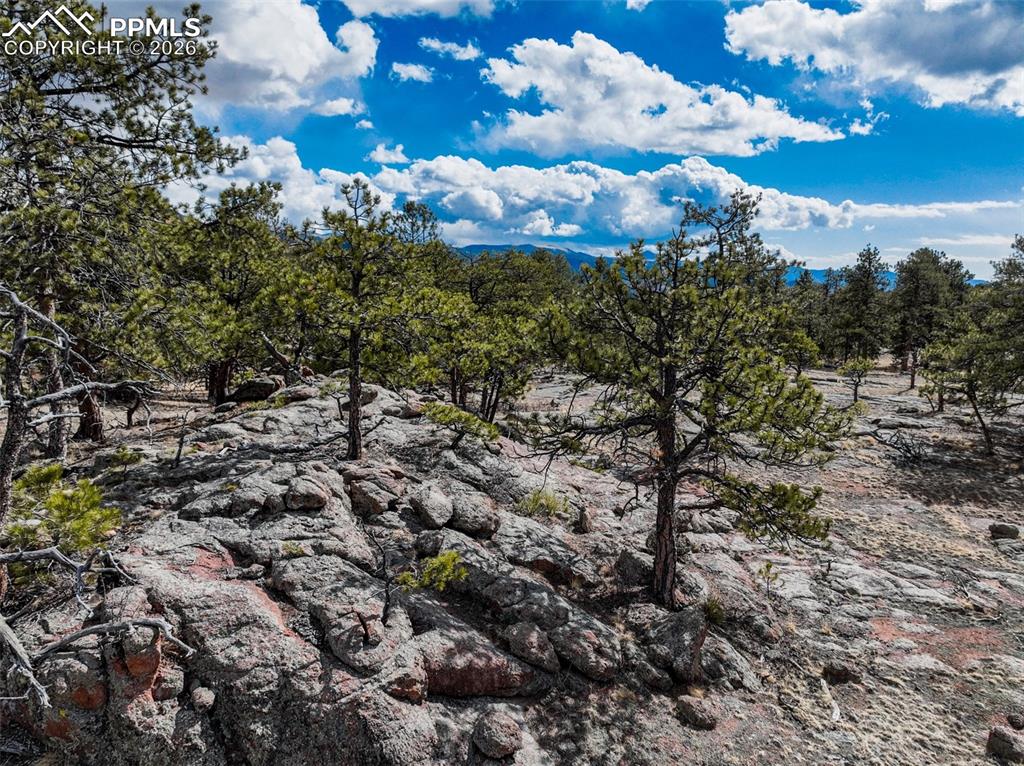 Image 4 of 26: Other