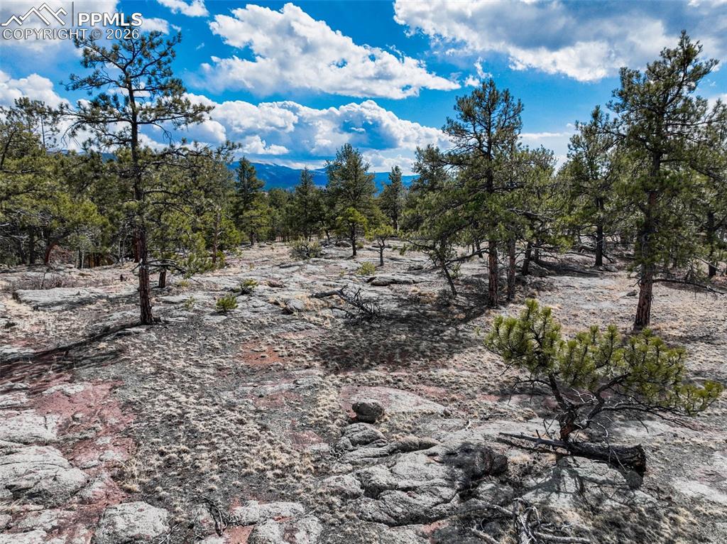 Image 7 of 26: Other