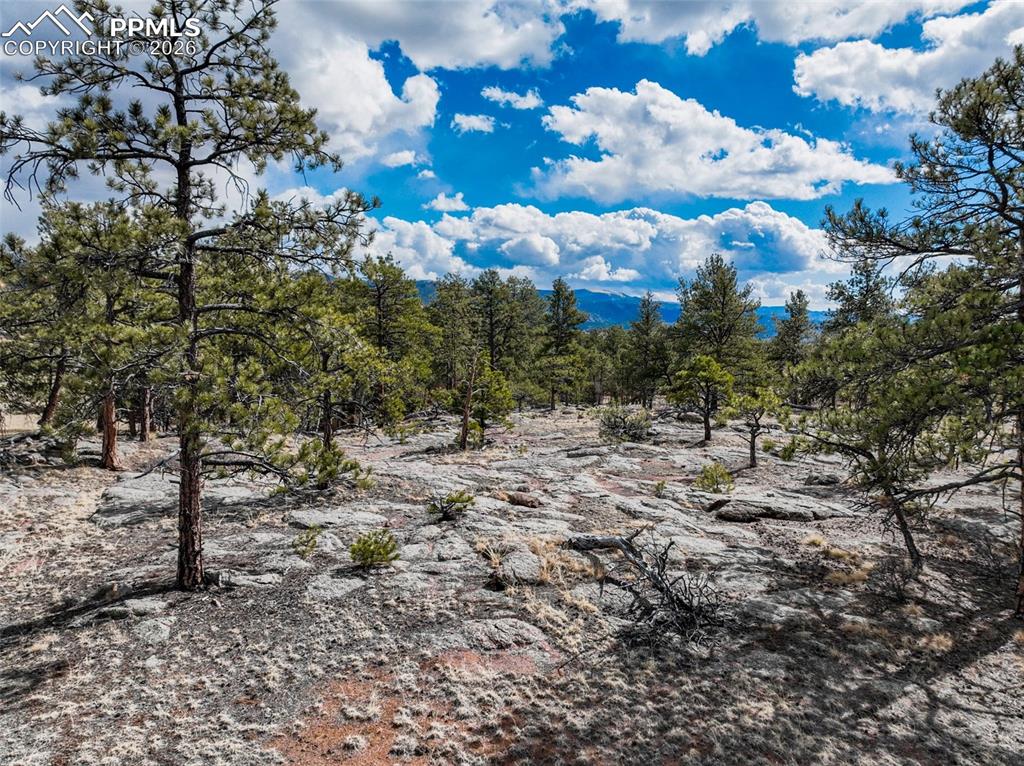 Image 8 of 26: Other