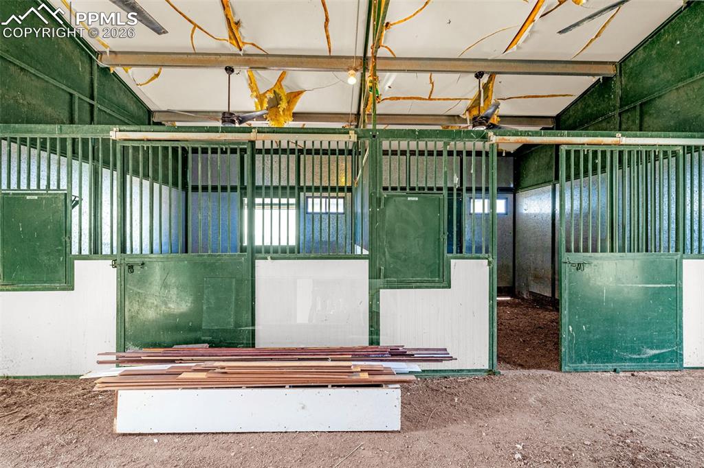 Image 43 of 47: Stable