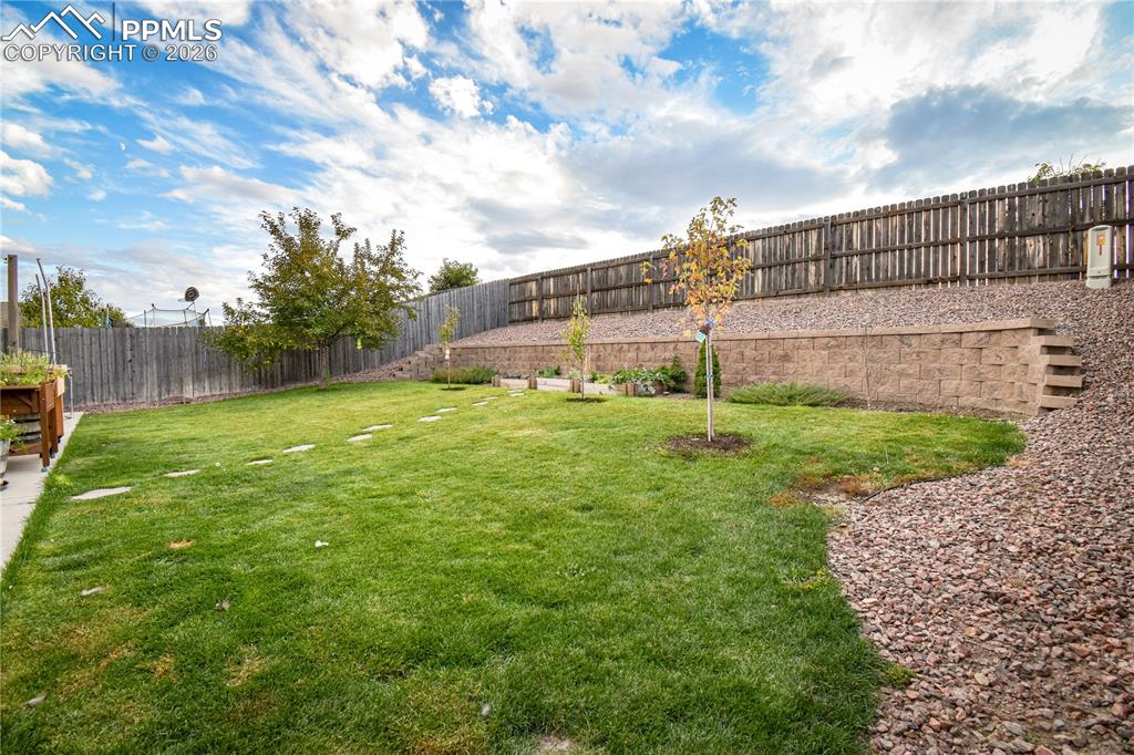 Image 10 of 44: Yard
