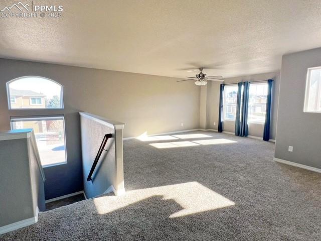 Image 13 of 31: Loft