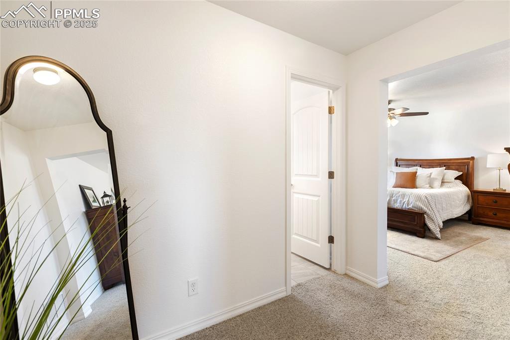 Image 19 of 48: Other