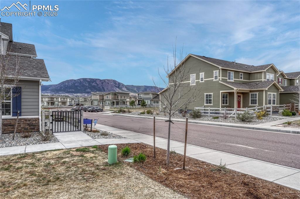 Image 39 of 40: Community