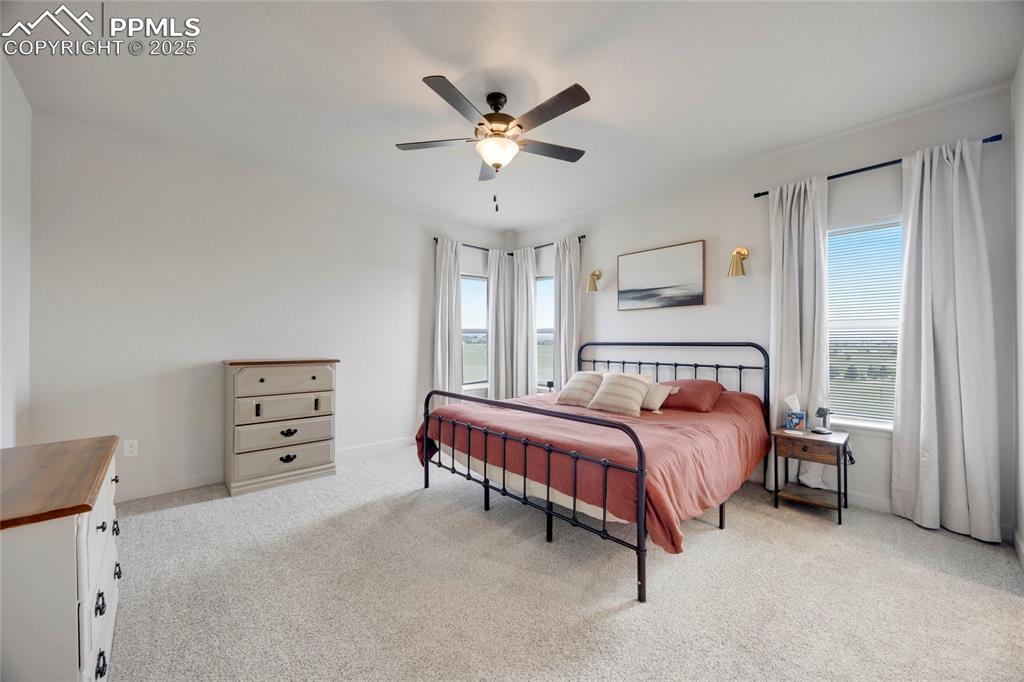 Image 19 of 37: Bedroom with light colored carpet, multiple windows, and a ceiling fan