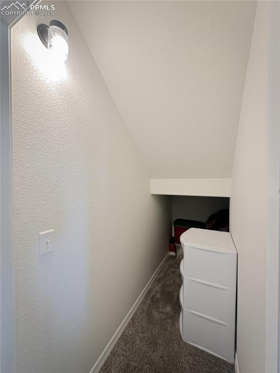 Image 13 of 42: Spacious closet featuring dark carpet and vaulted ceiling