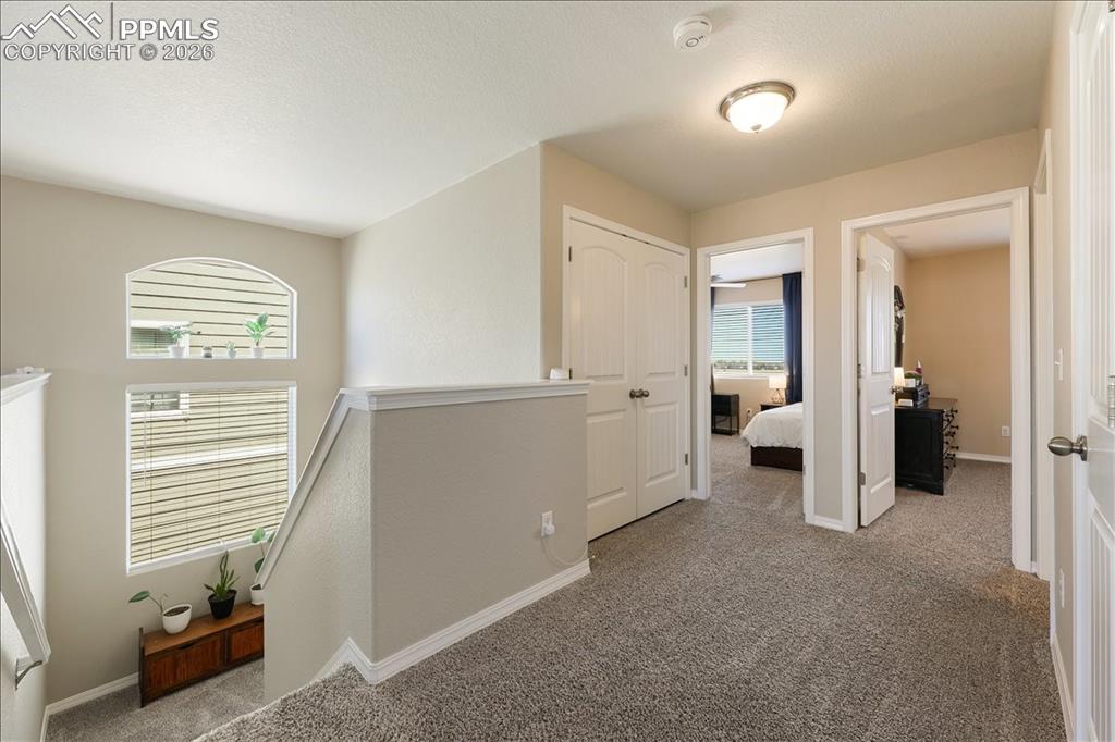 Image 20 of 35: Other