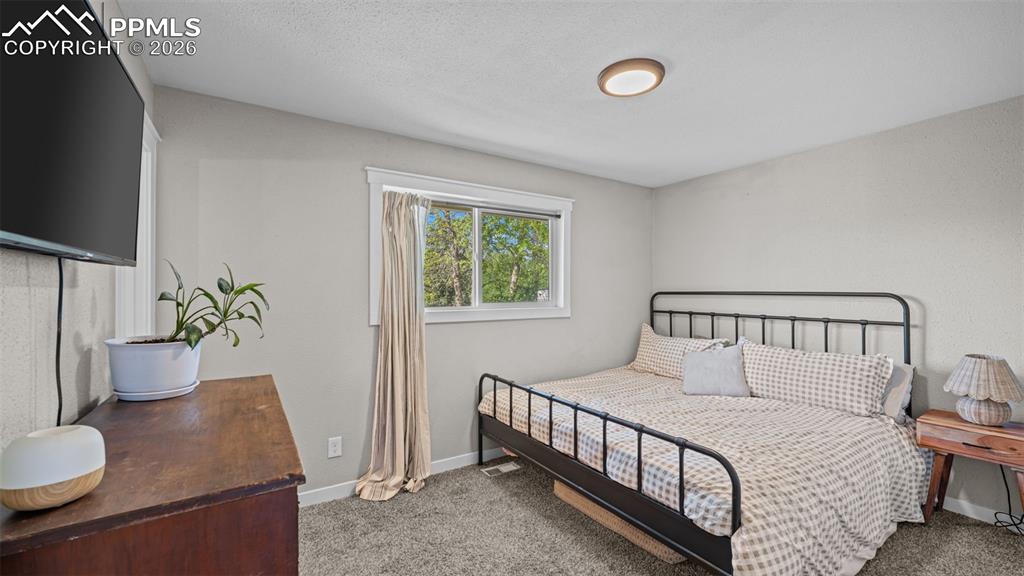 Image 17 of 42: Carpeted room featuring light gray walls, a window with white trim, and a f
