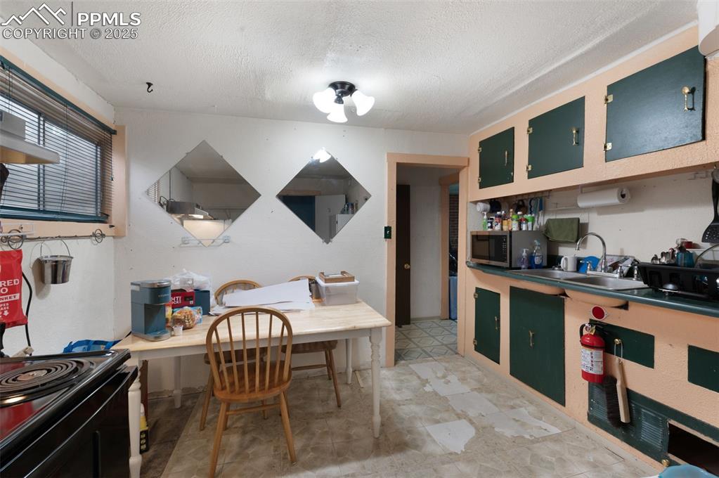 Image 29 of 50: Basement Level Kitchen Area
