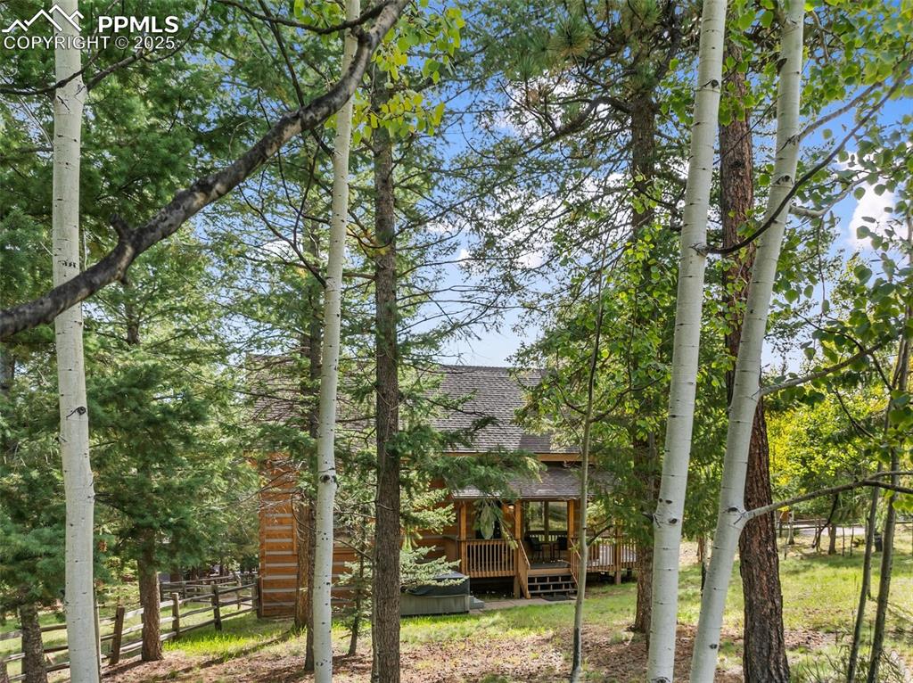 Image 38 of 46: Yard