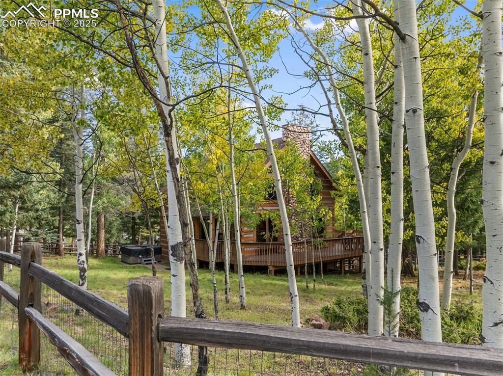 Image 43 of 46: Yard