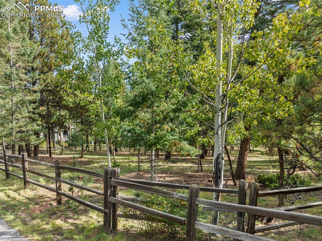 Image 45 of 46: Yard