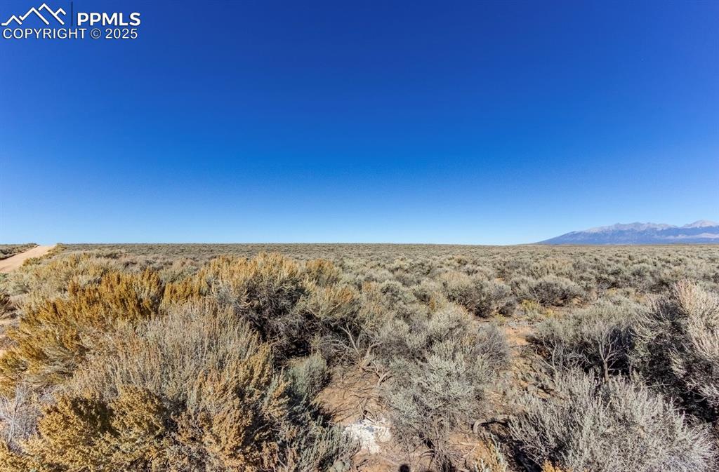 Image 3 of 12: Other