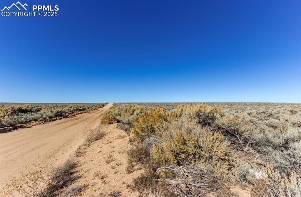 Image 4 of 12: Community