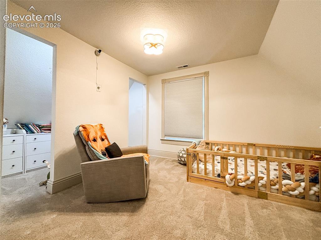 Image 21 of 33: Carpeted room featuring a window with blinds, ceiling-mounted lighting fixt
