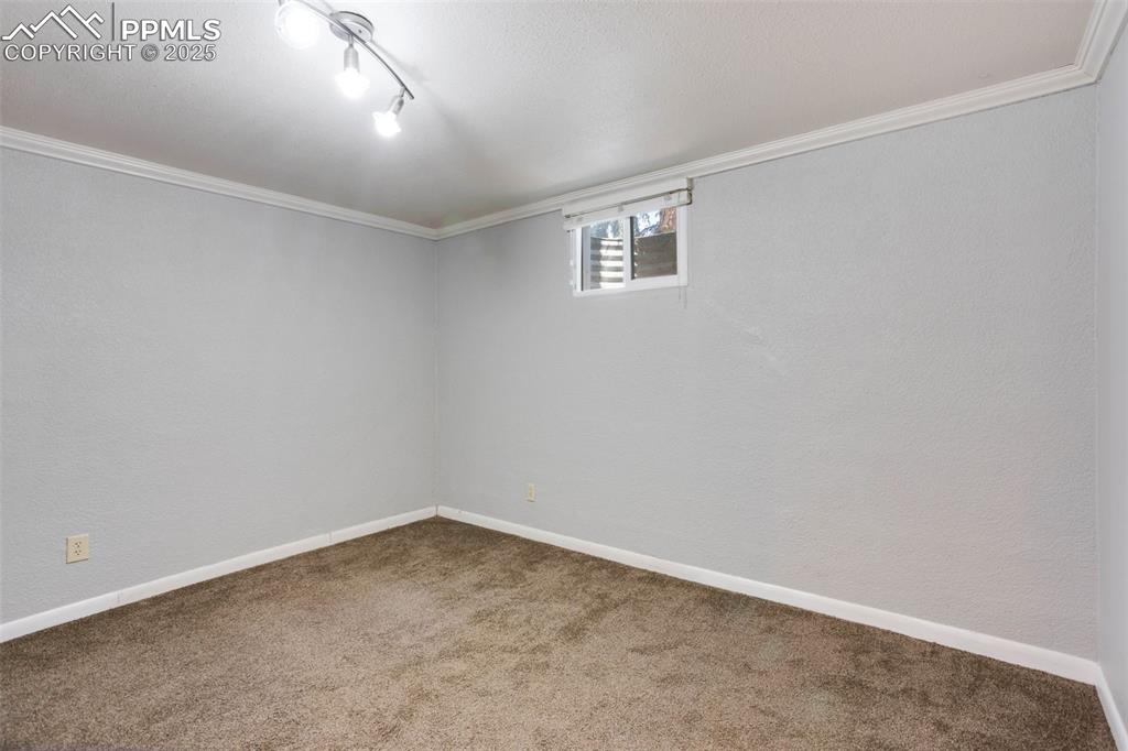 Image 20 of 35: Below grade area with carpet flooring, a textured wall, ornamental molding,