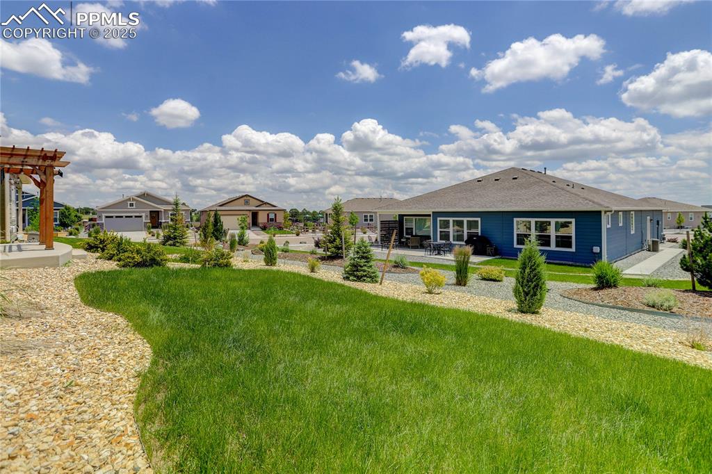 Image 34 of 38: Sod backyard
