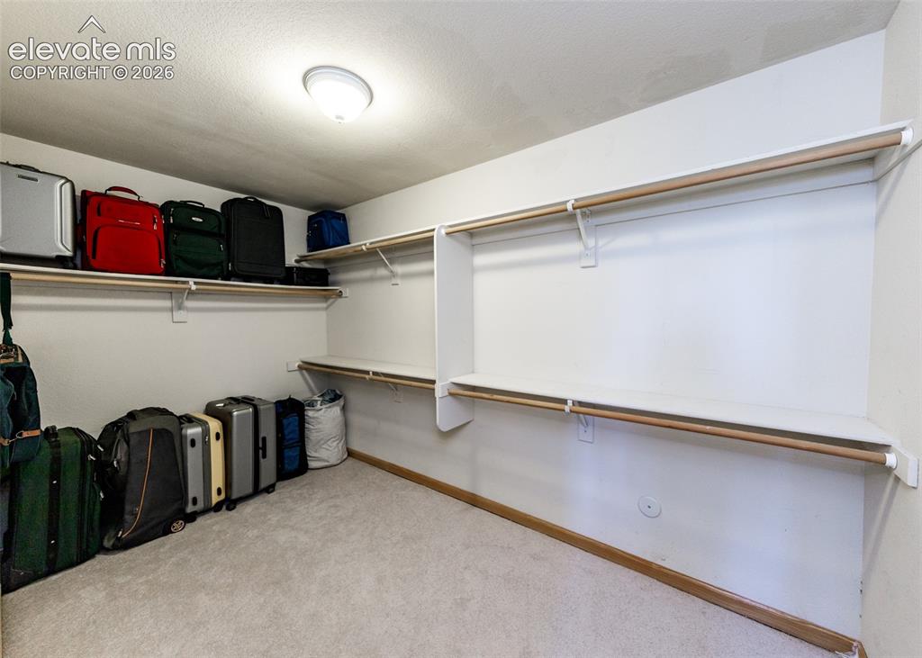 Image 39 of 48: Carpeted closet space featuring extensive shelving and hanging rods