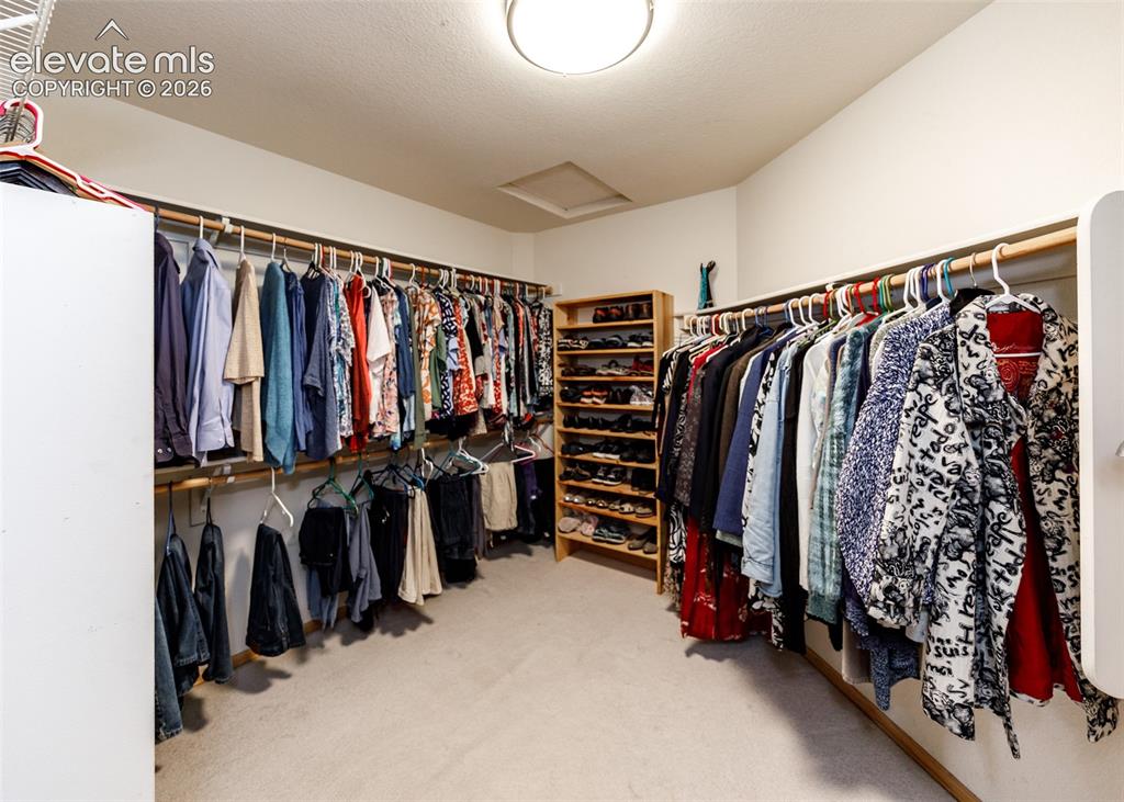 Image 40 of 48: Expansive walk-in closet featuring carpeted flooring and a flush-mount ceil