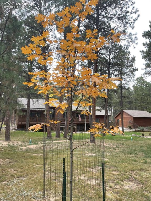 Image 40 of 40: Yard