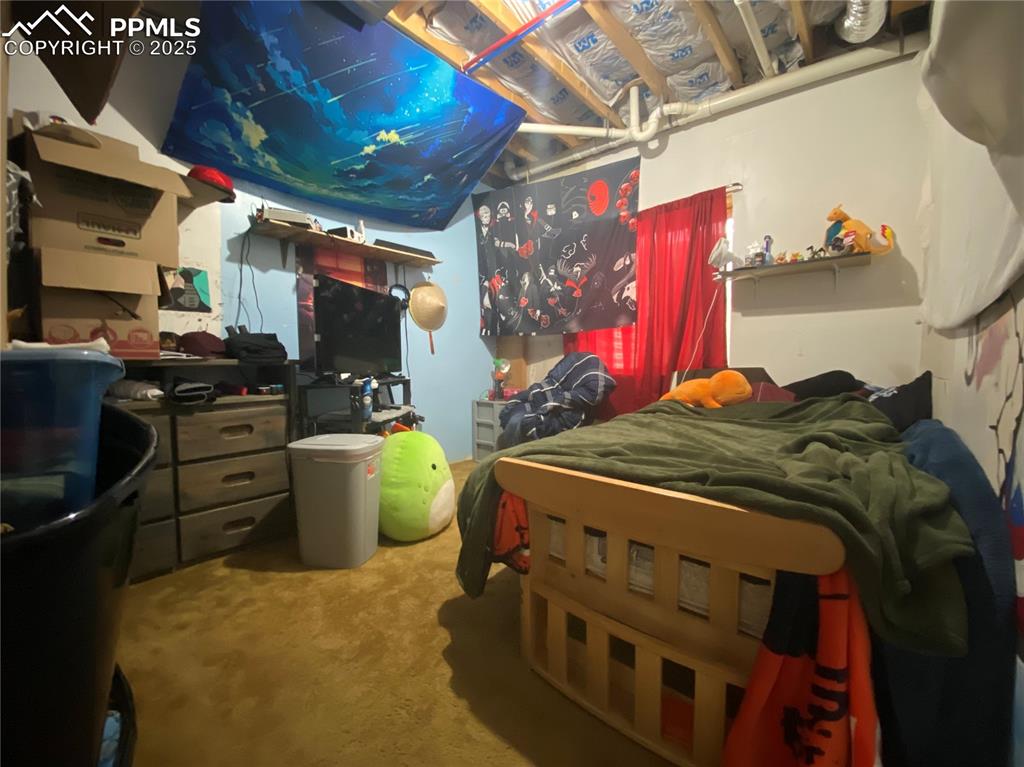 Image 25 of 48: Basement Bedroom