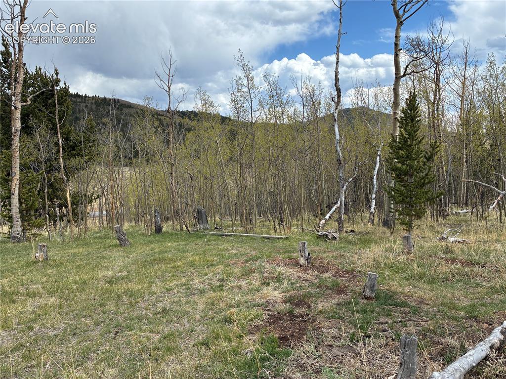 Image 24 of 30: Stunning 10 Acres in historic Cripple Creek, CO.