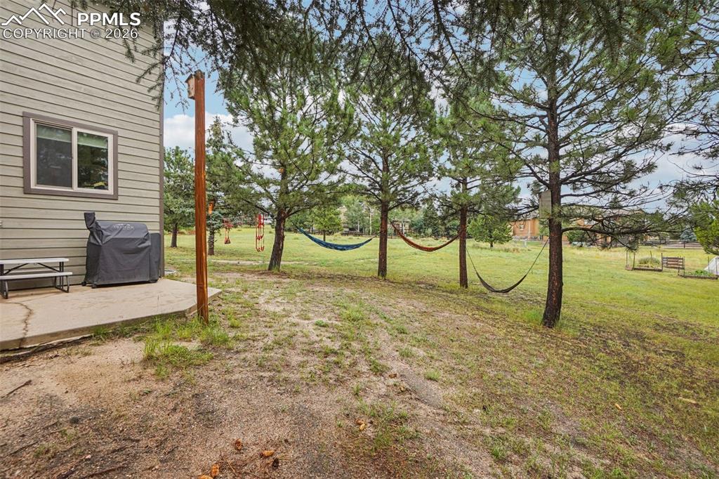 Image 45 of 49: Yard