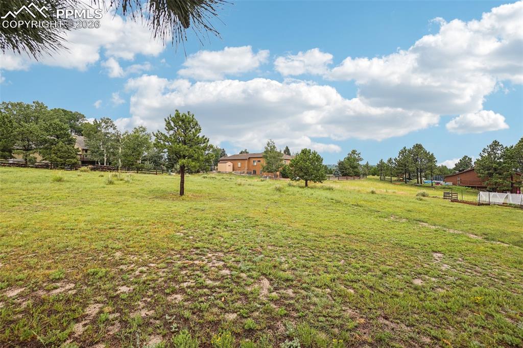 Image 49 of 49: Yard