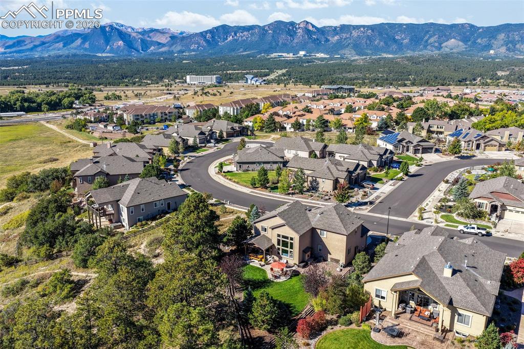 Image 5 of 50: New Supplement