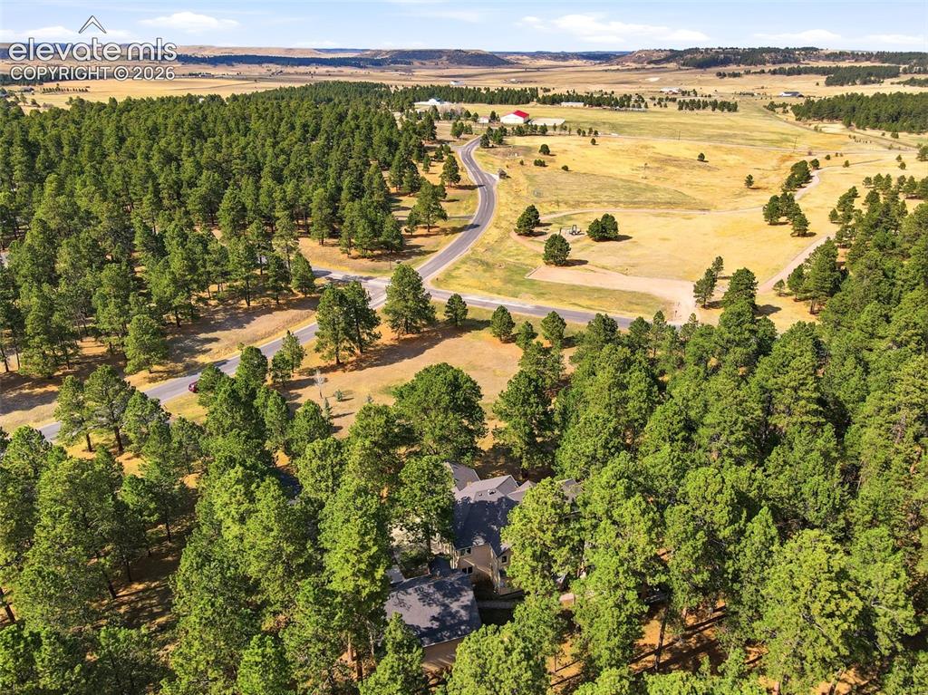 Image 10 of 50: Wooded private lot, with open space where park and trails are