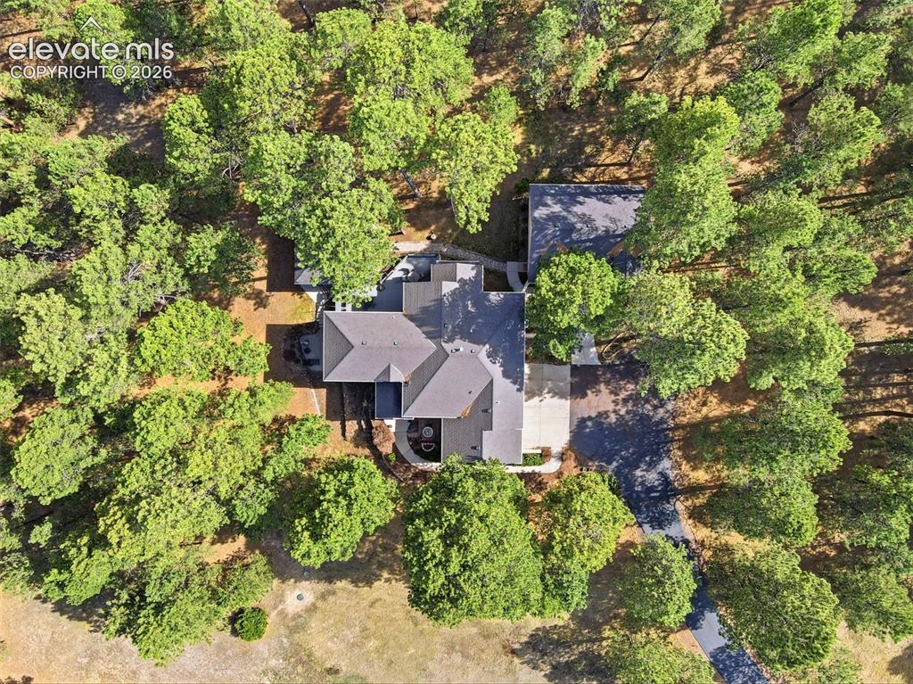 Image 11 of 50: Home is on 3 acres with mature trees