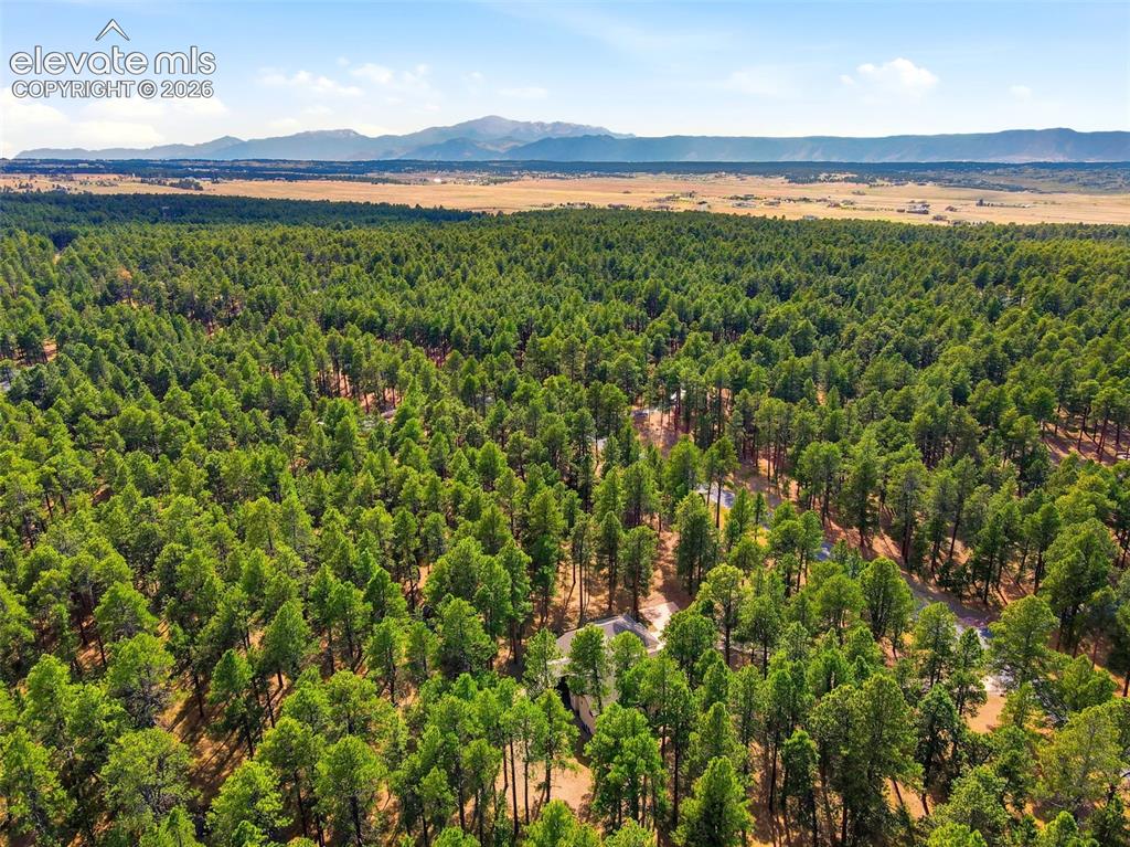 Image 9 of 50: Wissler Ranch is a forest community that is also a FireWise certified commu