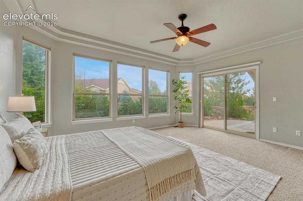 Image 27 of 50: The beautiful main level Primary Bedroom features neutral carpet, a tray ce