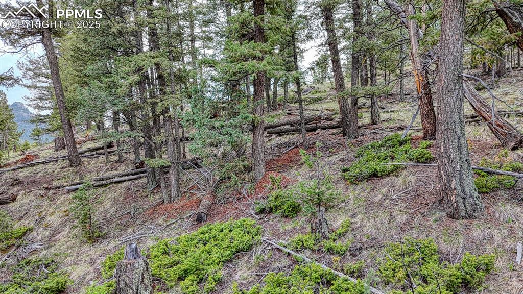 Image 11 of 27: Other