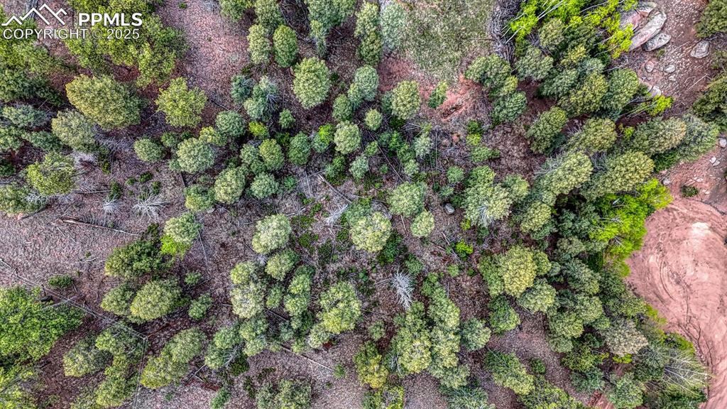 Image 17 of 27: Aerial View